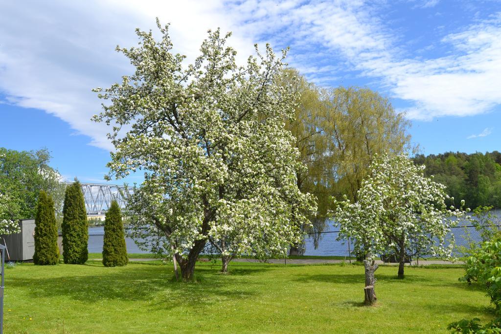 Lossiranta Lodge Savonlinna Zewnętrze zdjęcie